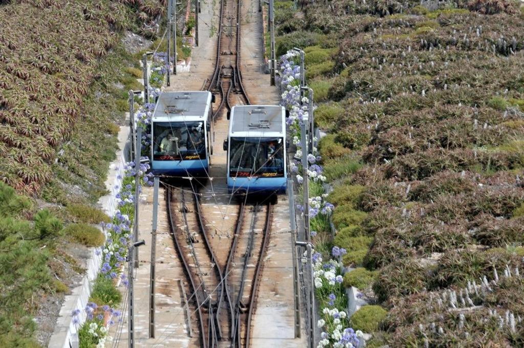 100 Meters From The Beach! Rua Da Regeneracao נאזרה מראה חיצוני תמונה